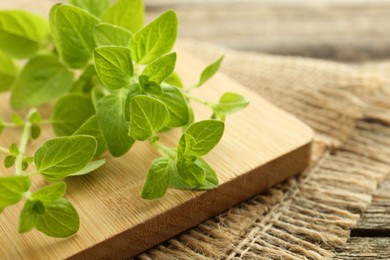 Sprigs of fresh green oregano on table, closeup