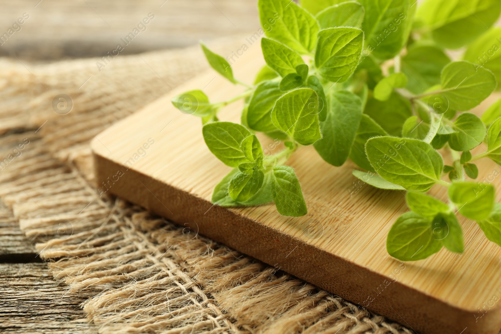 Photo of Sprigs of fresh green oregano on table, closeup