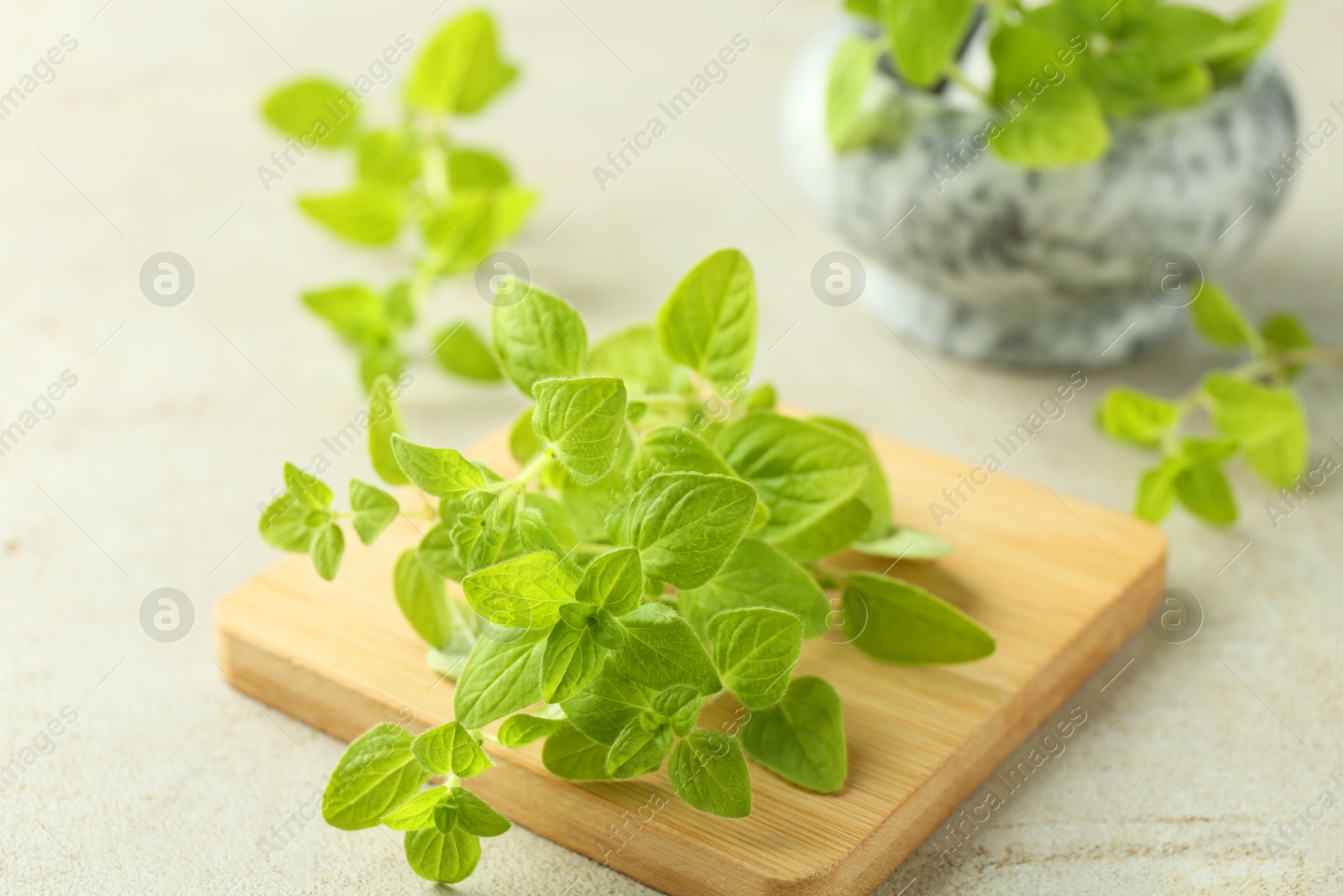 Photo of Sprigs of fresh green oregano on light textured table, closeup