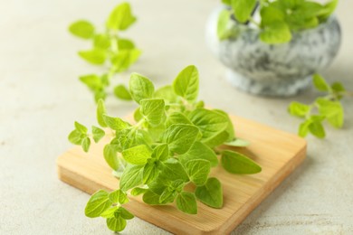 Photo of Sprigs of fresh green oregano on light textured table, closeup