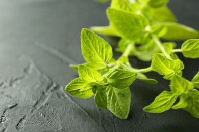 Sprigs of fresh green oregano on dark gray textured table, closeup. Space for text