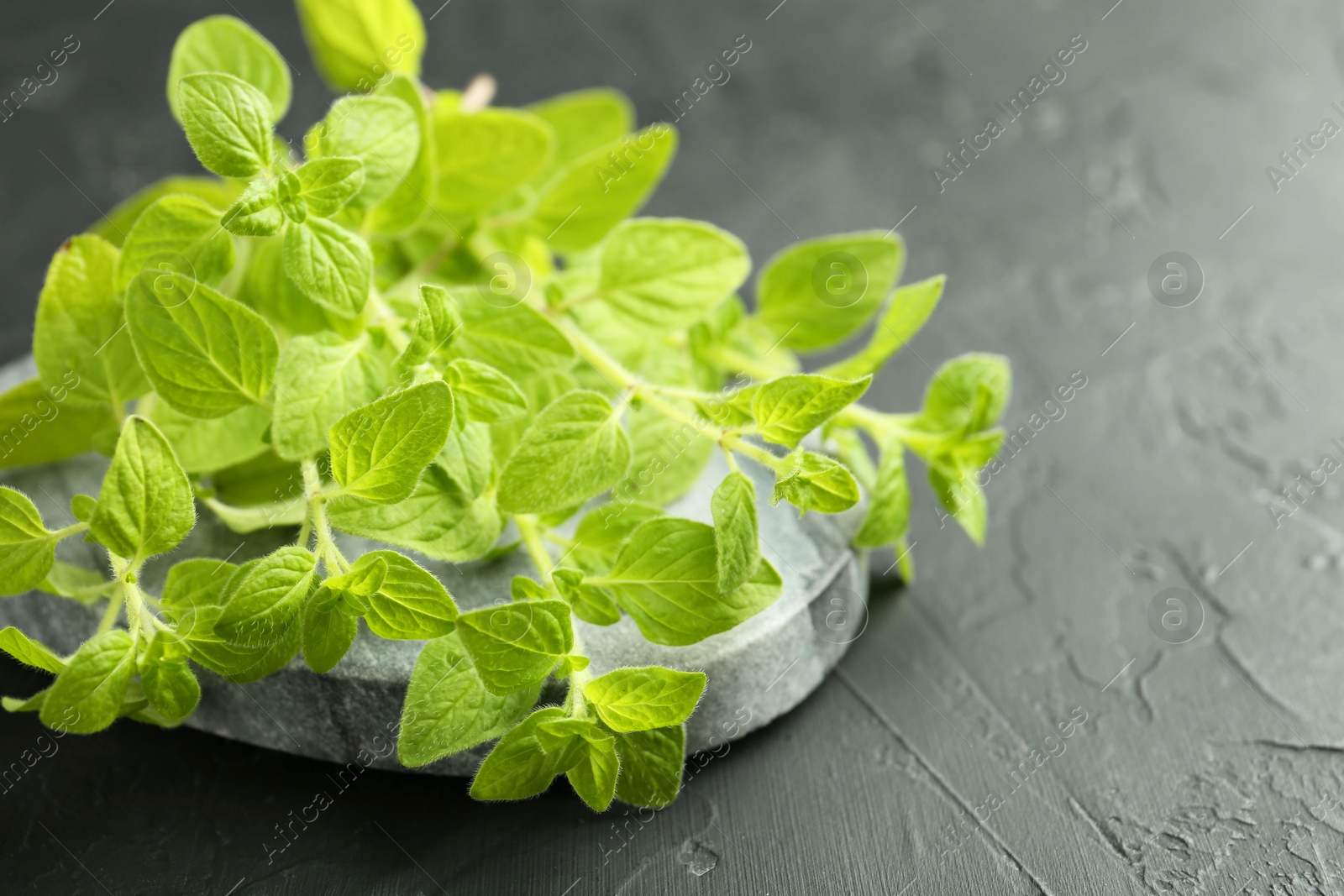 Photo of Sprigs of fresh green oregano on dark gray textured table, closeup. Space for text