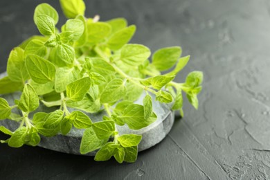 Sprigs of fresh green oregano on dark gray textured table, closeup. Space for text