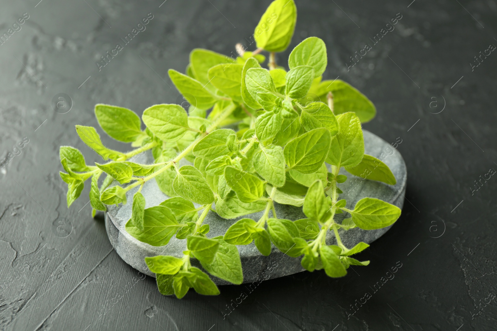 Photo of Sprigs of fresh green oregano on dark gray textured table, closeup