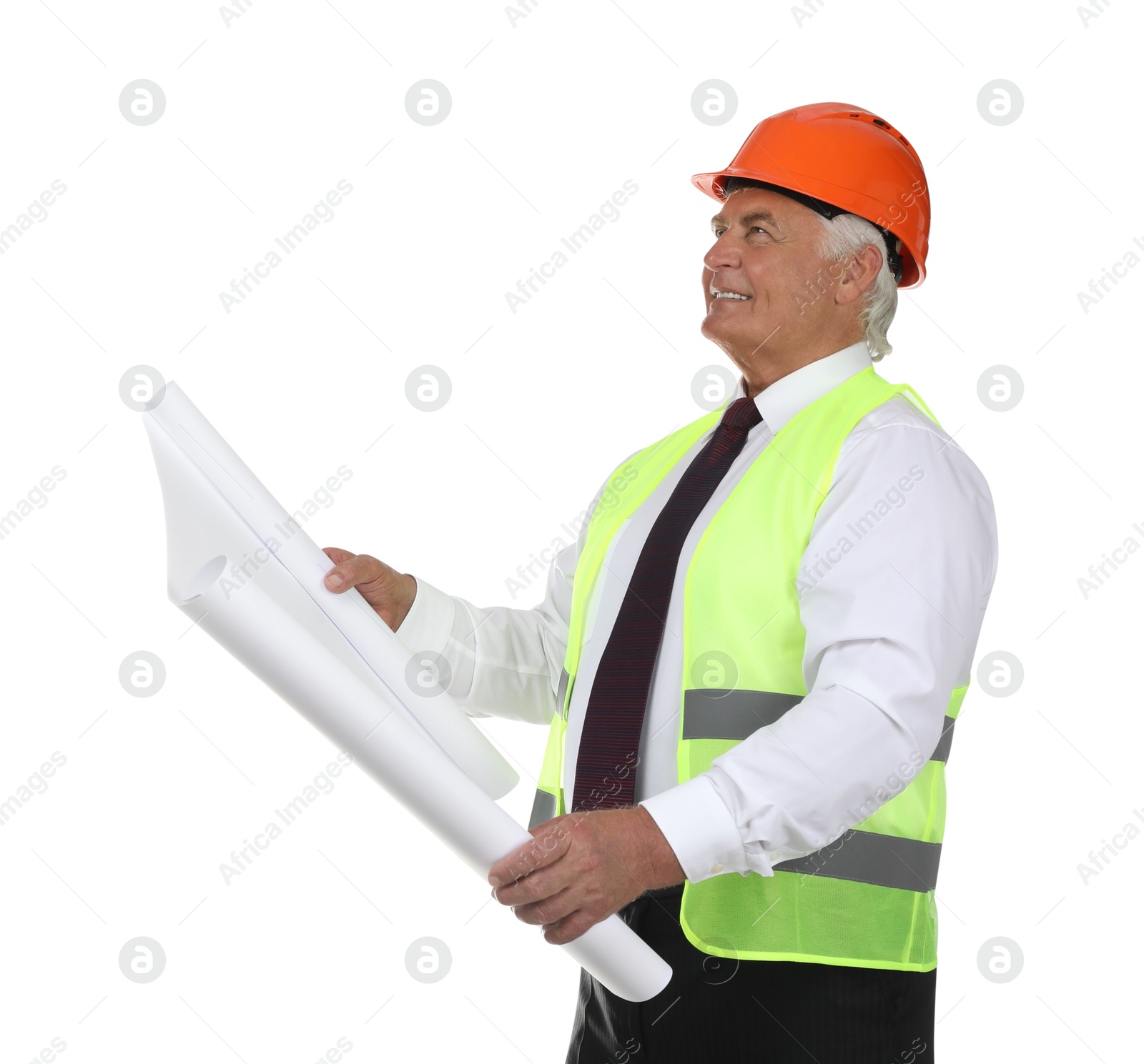 Photo of Engineer in hard hat with draft on white background