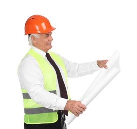 Photo of Engineer in hard hat with draft on white background