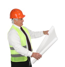 Photo of Engineer in hard hat with draft on white background