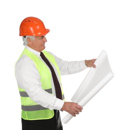 Engineer in hard hat with draft on white background