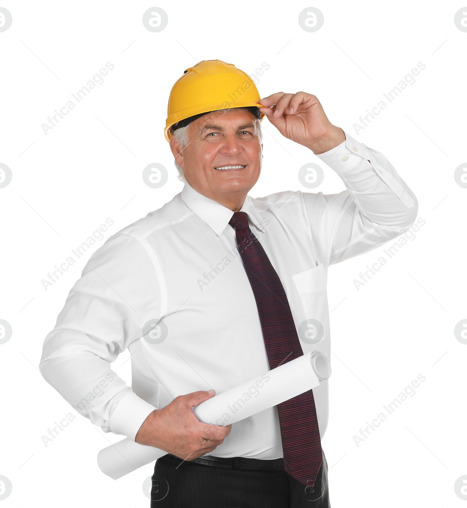 Photo of Engineer in hard hat with draft on white background