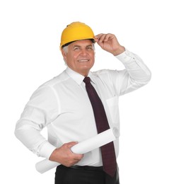 Photo of Engineer in hard hat with draft on white background