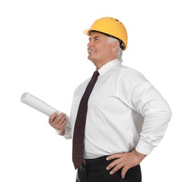 Engineer in hard hat with draft on white background