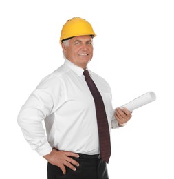 Engineer in hard hat with draft on white background