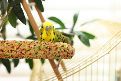 Photo of Pet parrot. Beautiful budgerigar on decorative ladder indoors