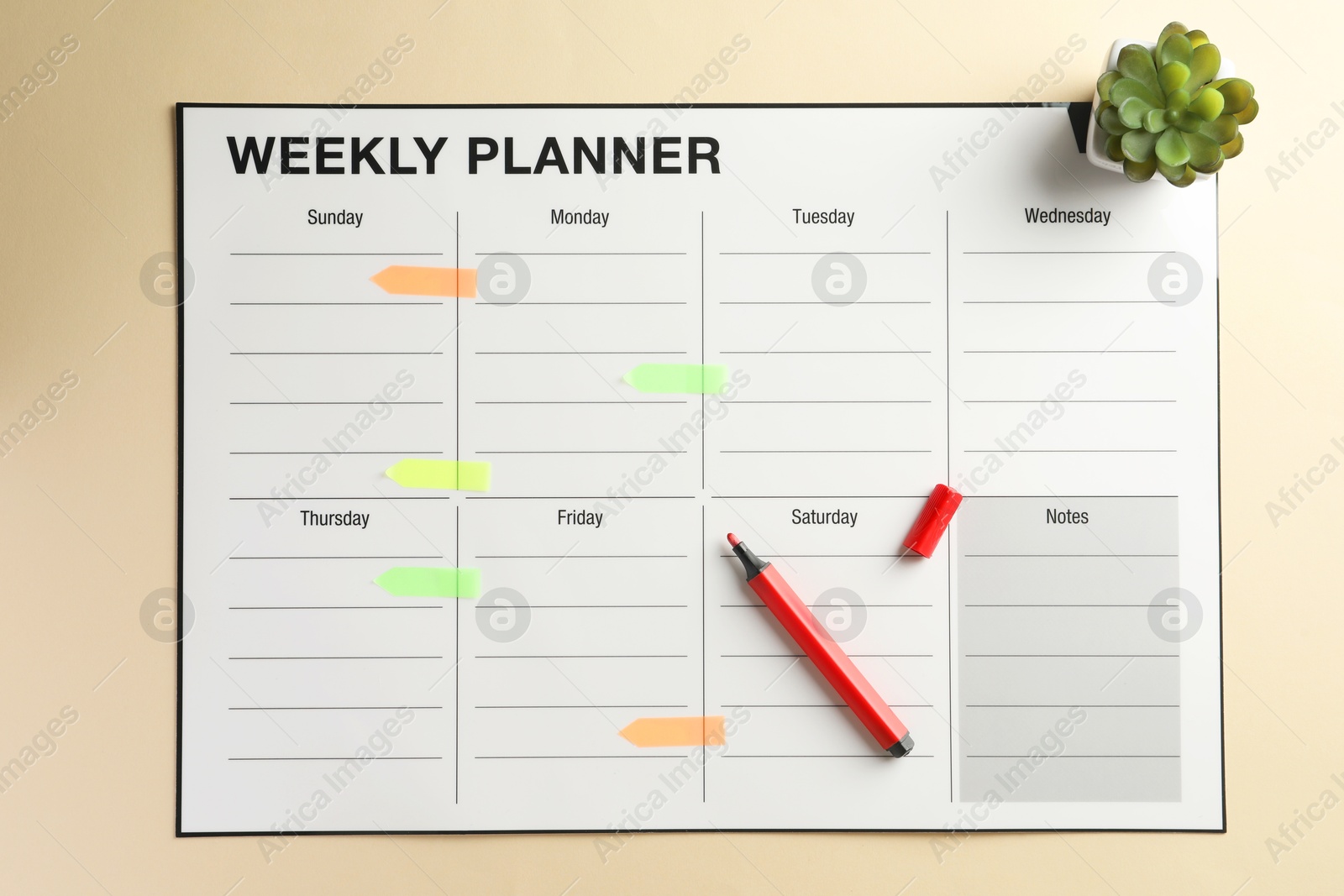 Photo of Timetable. Weekly planner, felt pen and houseplant on beige backpack, top view