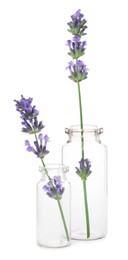 Beautiful lavender flowers in glass bottles isolated on white