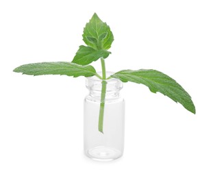 Photo of Mint in glass bottle isolated on white