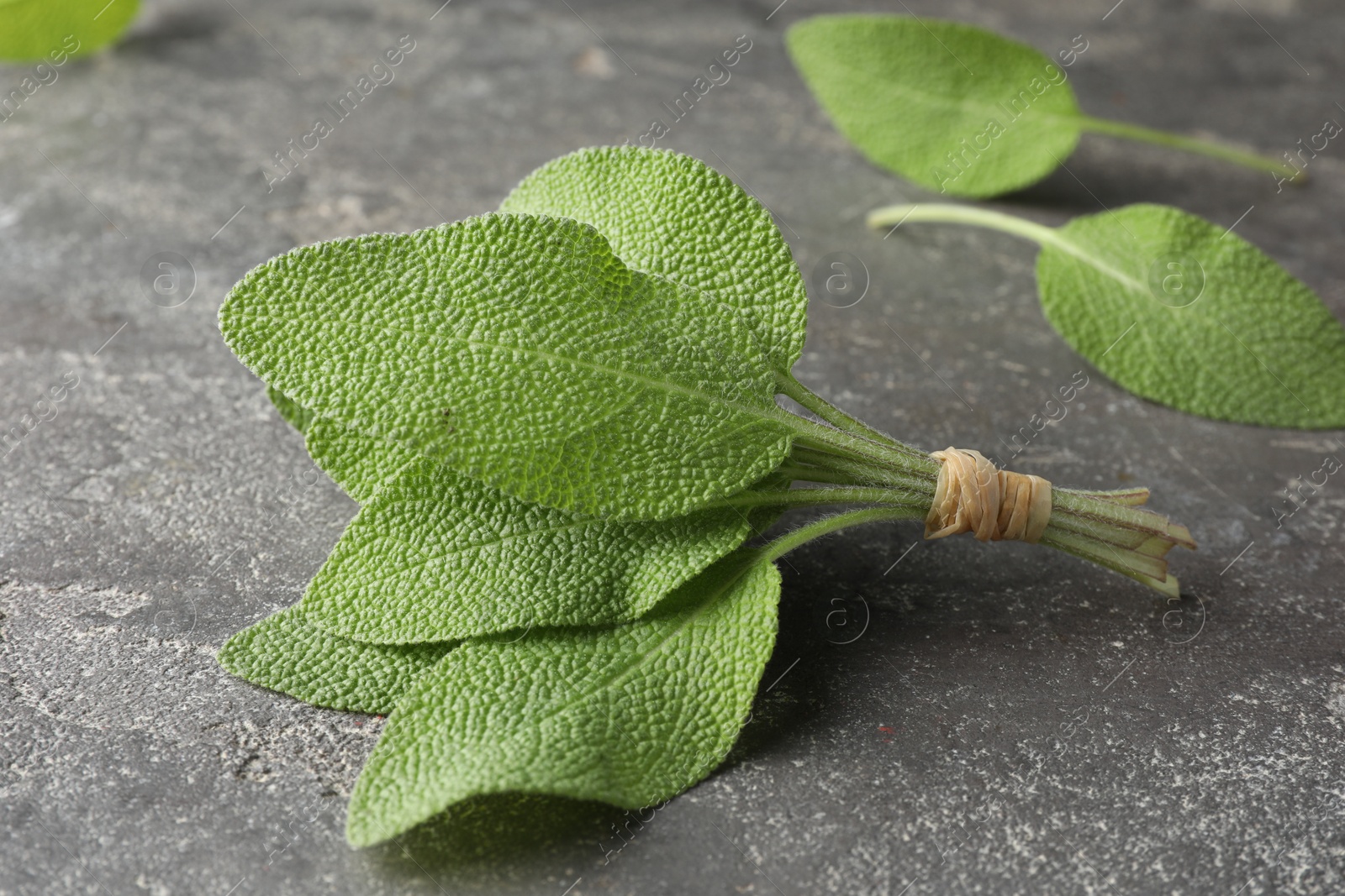 Photo of Bunch of green sage leaves on grey textured table, closeup