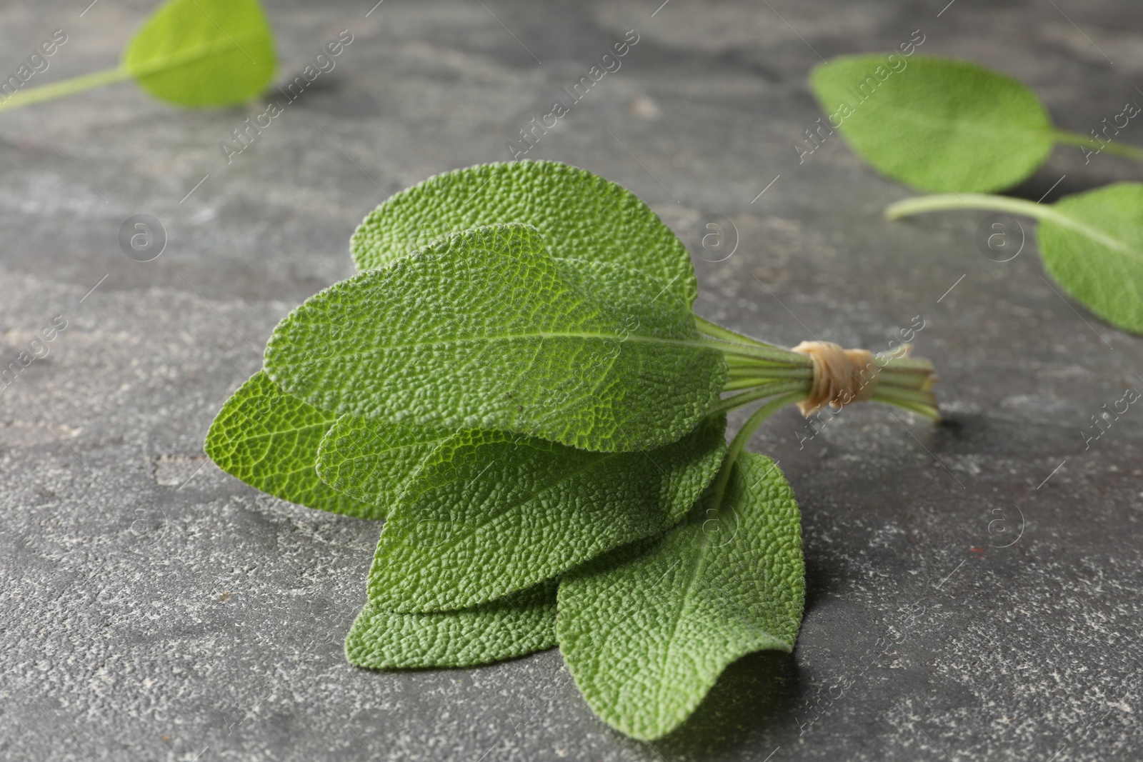 Photo of Bunch of green sage leaves on grey textured table, closeup