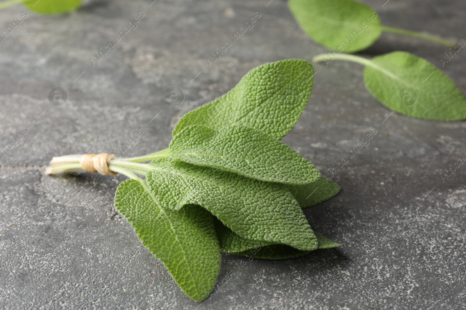 Photo of Bunch of green sage leaves on grey textured table, closeup