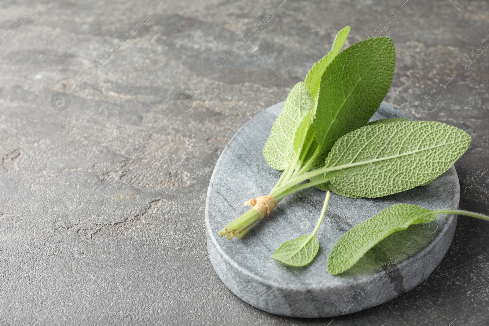 Photo of Bunch of green sage leaves on grey textured table, closeup. Space for text