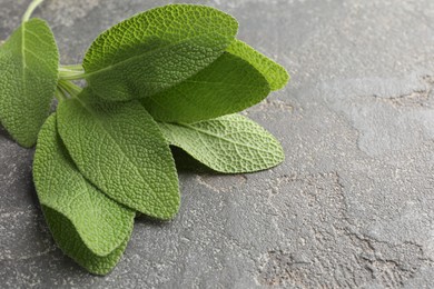 Photo of Green sage leaves on grey textured table, closeup. Space for text