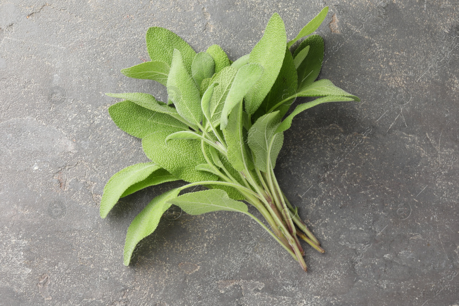 Photo of Green sage leaves on grey textured table, top view