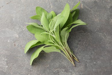 Photo of Green sage leaves on grey textured table, top view