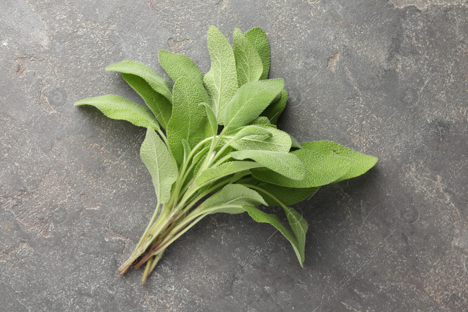 Photo of Green sage leaves on grey textured table, top view