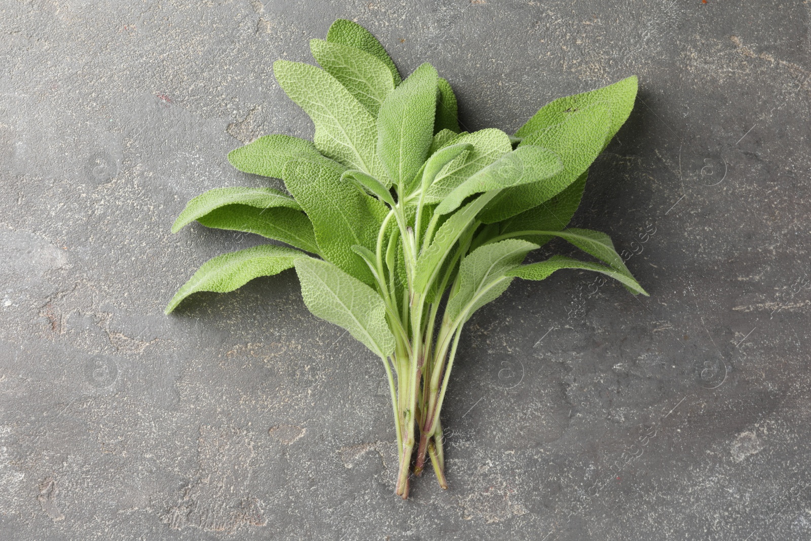 Photo of Green sage leaves on grey textured table, top view