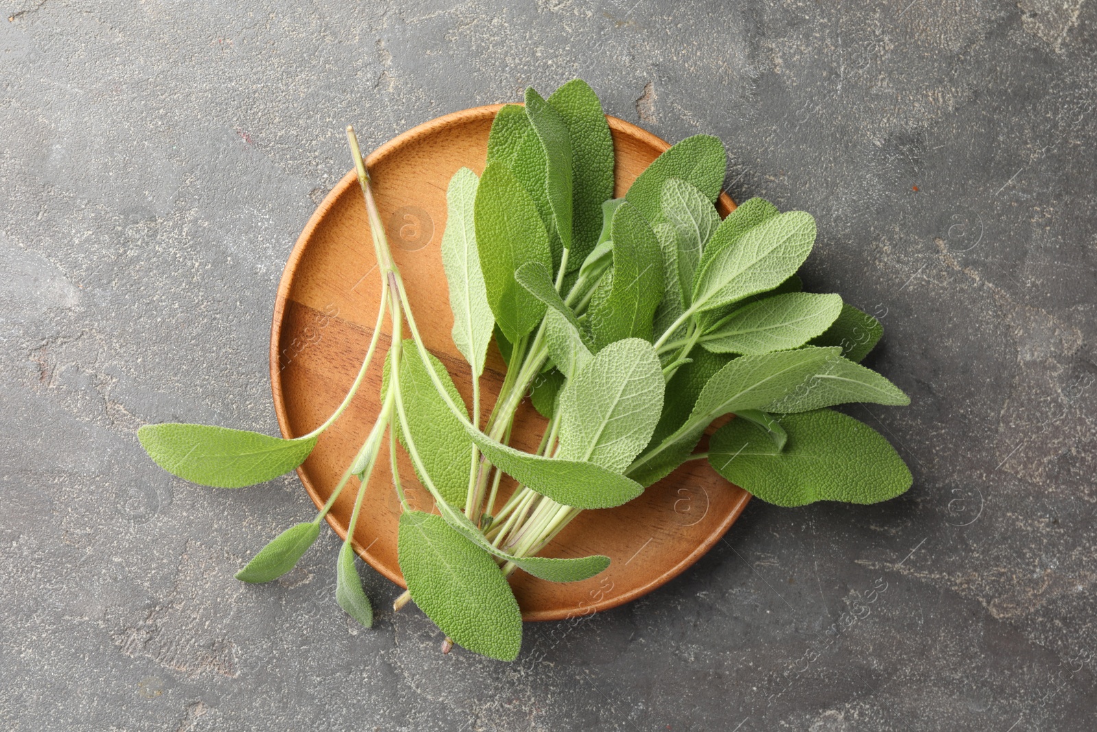 Photo of Green sage leaves on grey textured table, top view