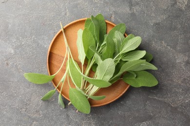 Photo of Green sage leaves on grey textured table, top view