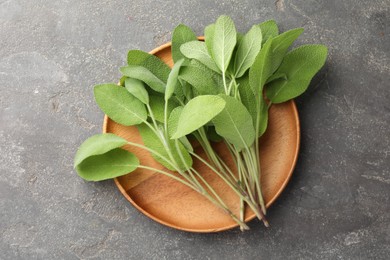 Photo of Green sage leaves on grey textured table, top view