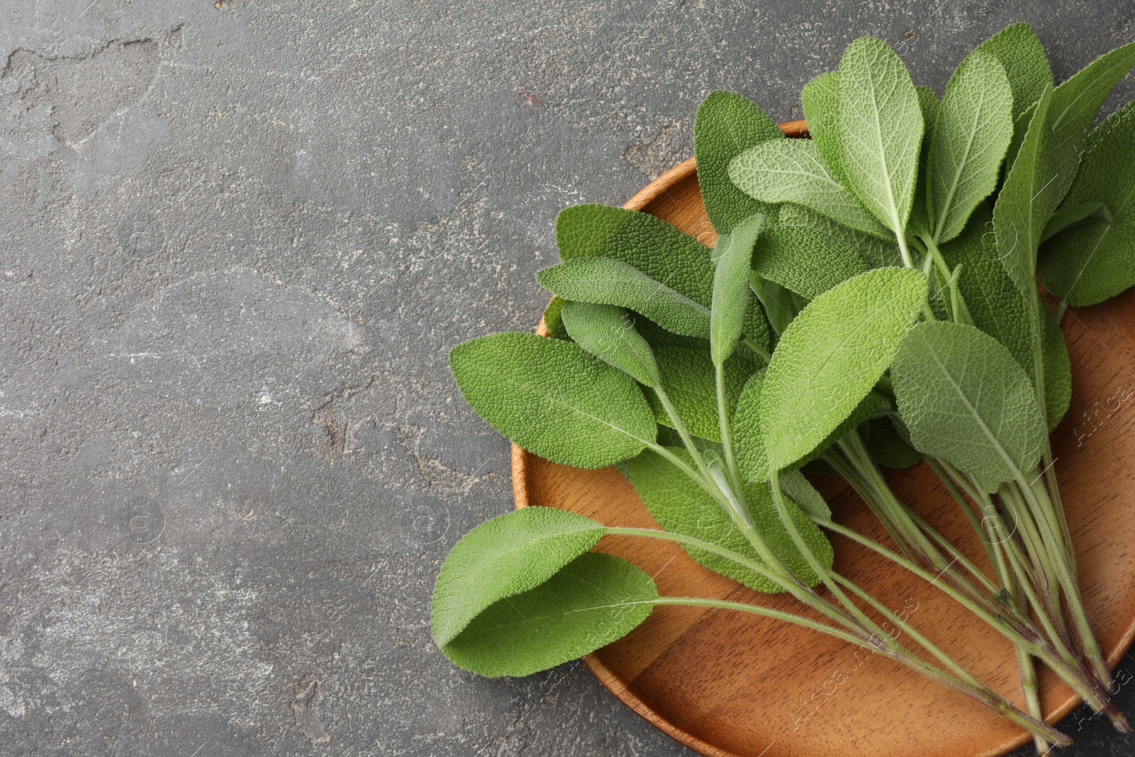 Photo of Green sage leaves on grey textured table, top view. Space for text