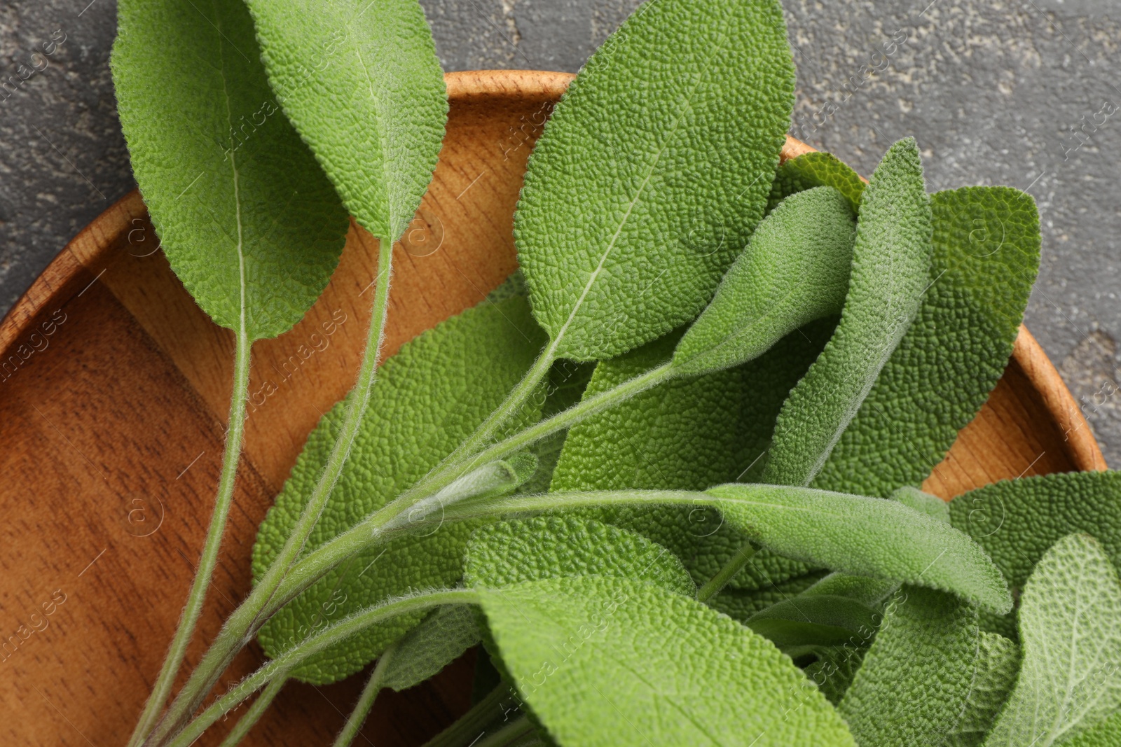 Photo of Green sage leaves on grey textured table, top view