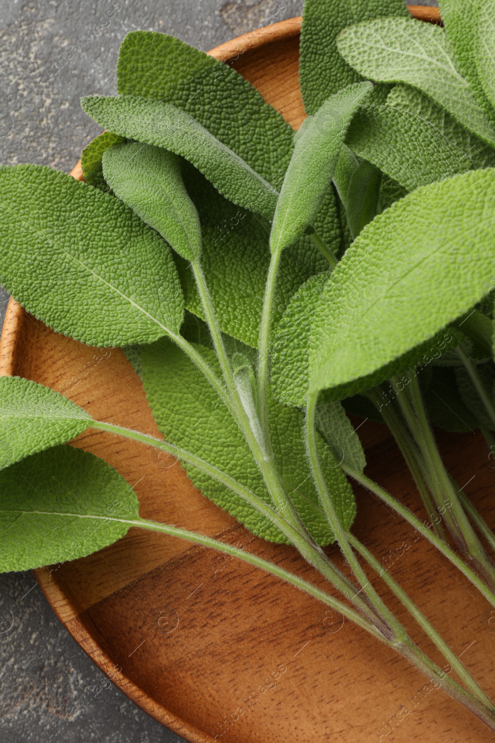 Photo of Green sage leaves on grey textured table, top view