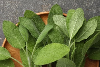 Photo of Green sage leaves on grey textured table, top view