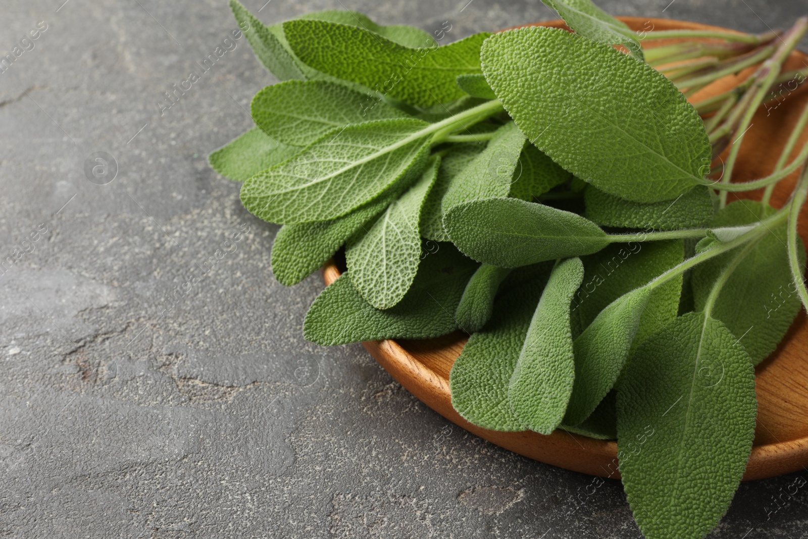 Photo of Green sage leaves on grey textured table, closeup. Space for text