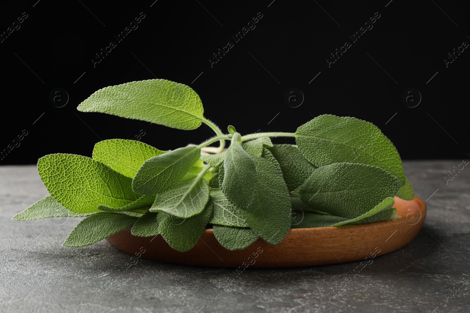 Photo of Green sage leaves on grey textured table against black background, closeup