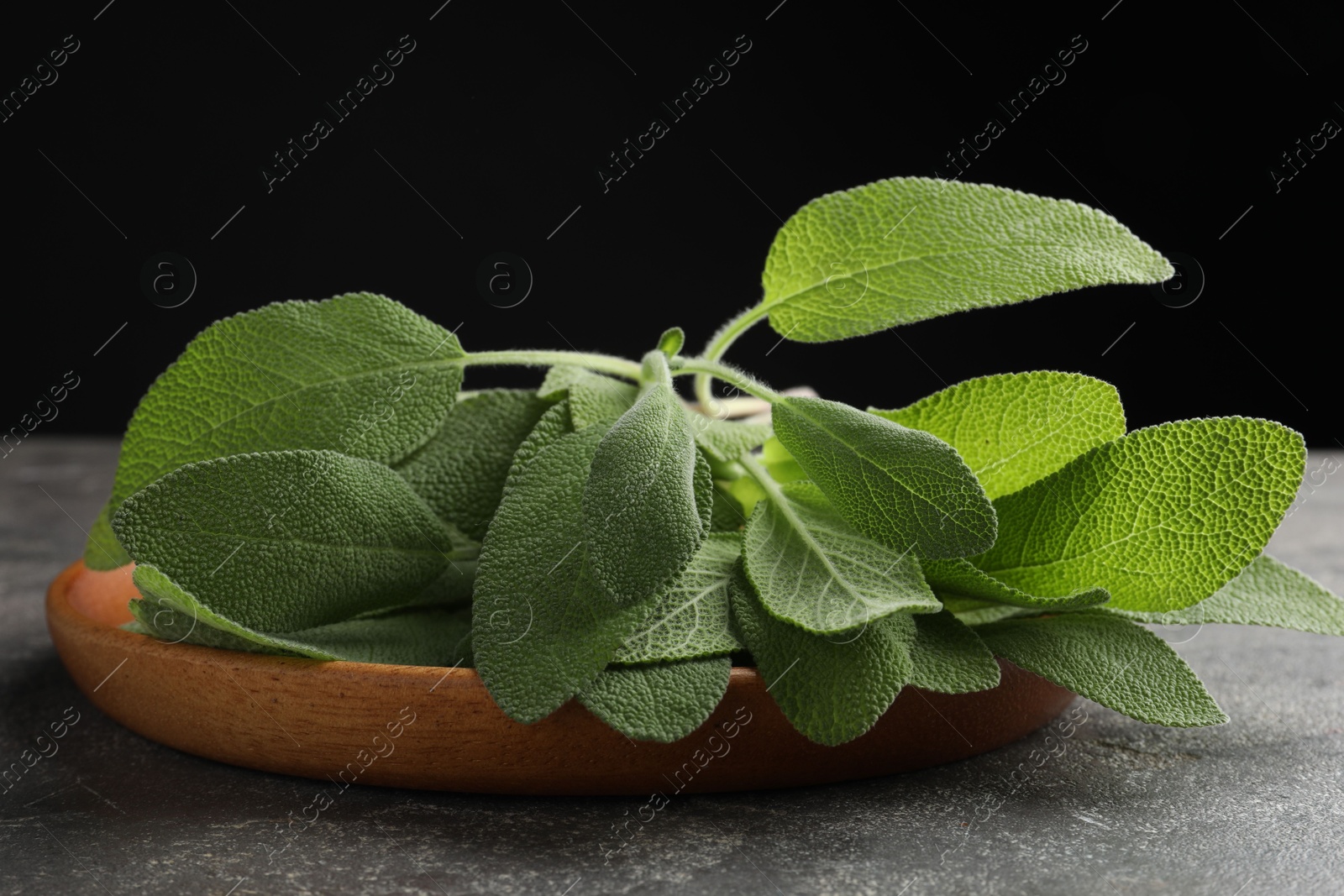 Photo of Green sage leaves on grey textured table against black background, closeup