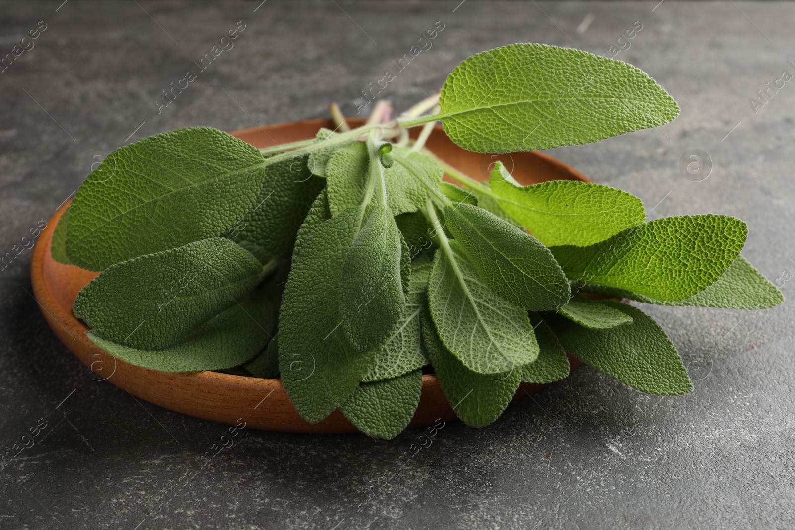 Photo of Green sage leaves on grey textured table, closeup