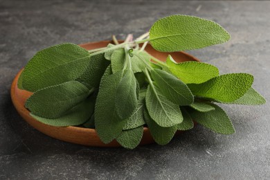 Photo of Green sage leaves on grey textured table, closeup