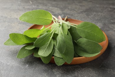 Photo of Green sage leaves on grey textured table, closeup