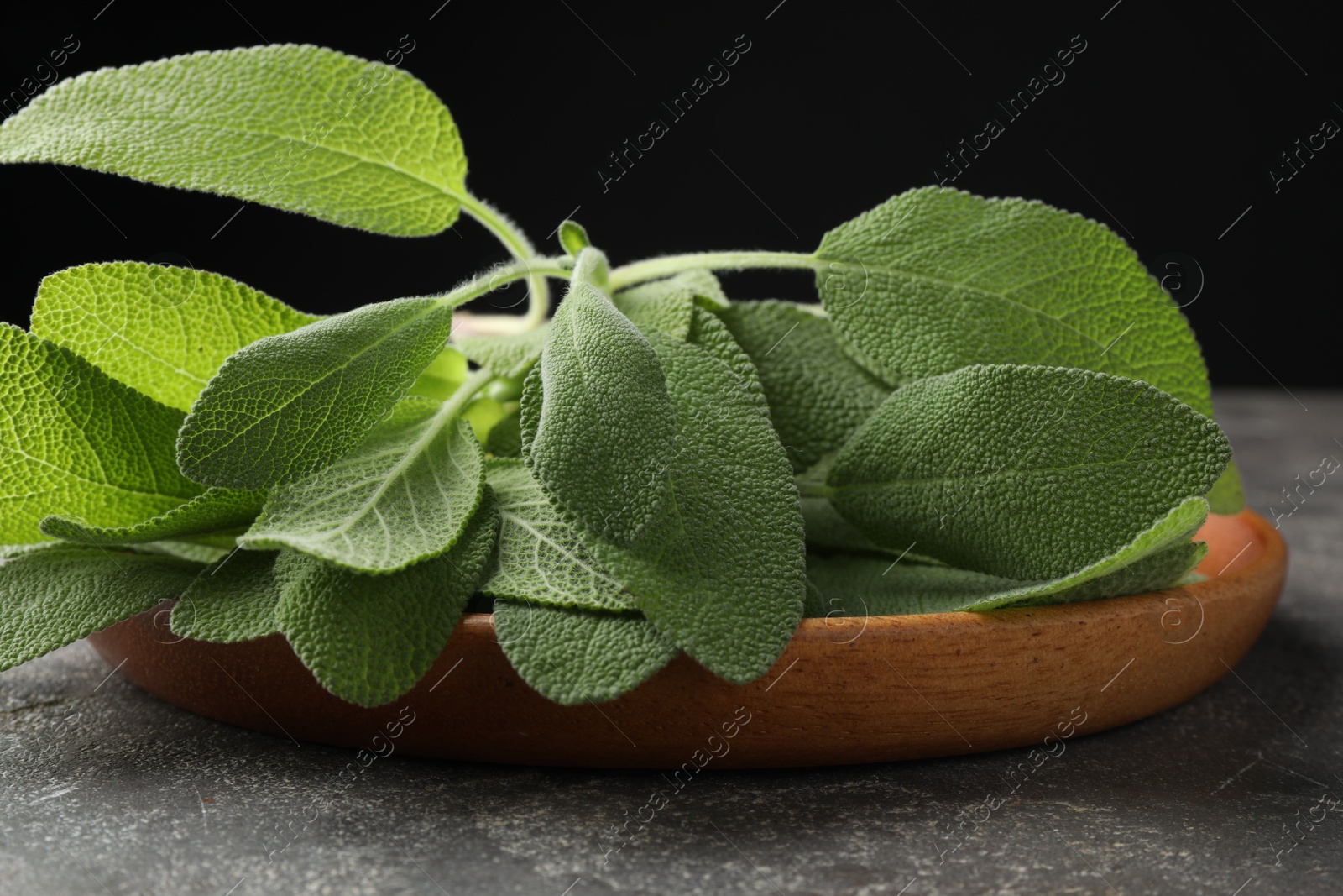 Photo of Green sage leaves on grey textured table against black background, closeup