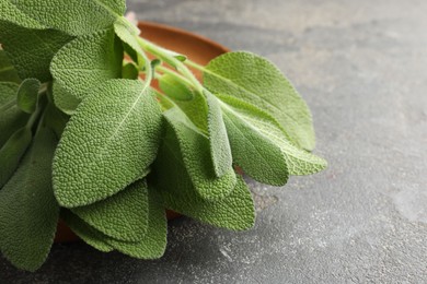 Photo of Green sage leaves on grey textured table, closeup. Space for text