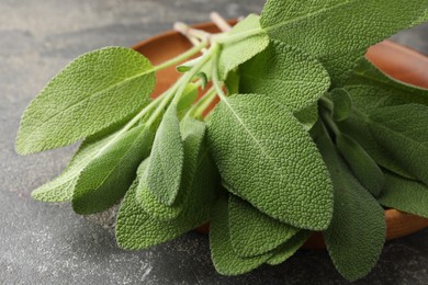 Photo of Green sage leaves on grey textured table, closeup