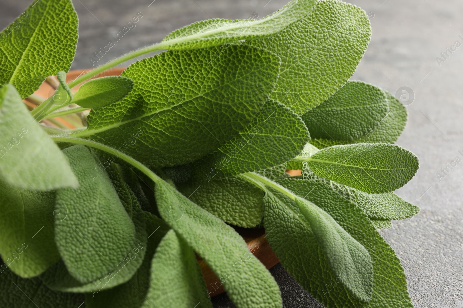 Photo of Green sage leaves on grey textured table, closeup