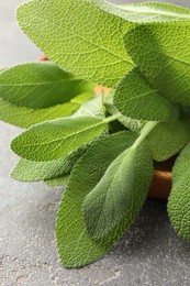 Photo of Green sage leaves on grey textured table, closeup