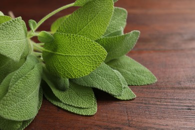 Photo of Green sage leaves on wooden table, closeup