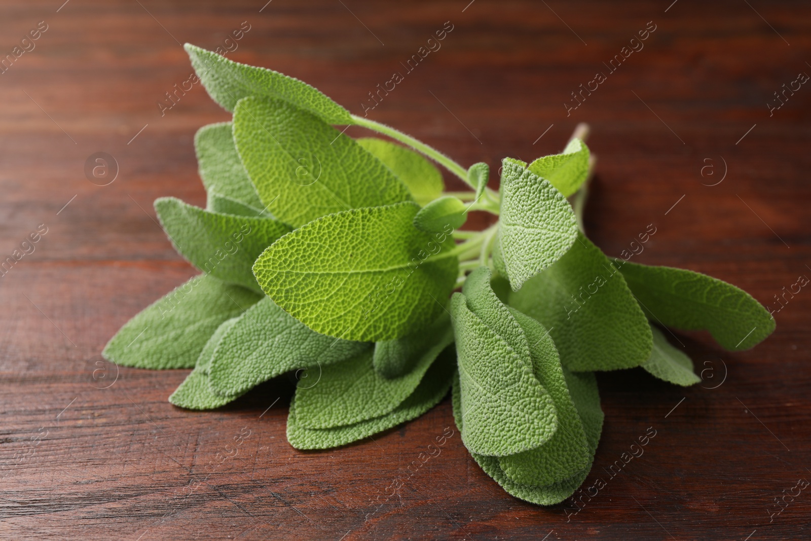 Photo of Green sage leaves on wooden table, closeup