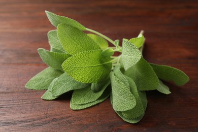 Photo of Green sage leaves on wooden table, closeup